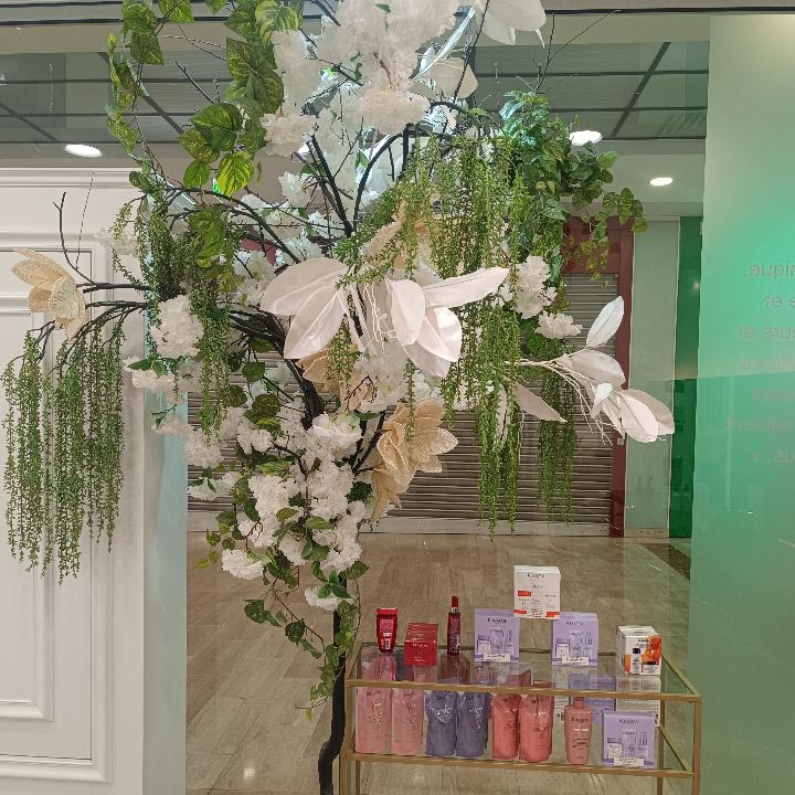 salon