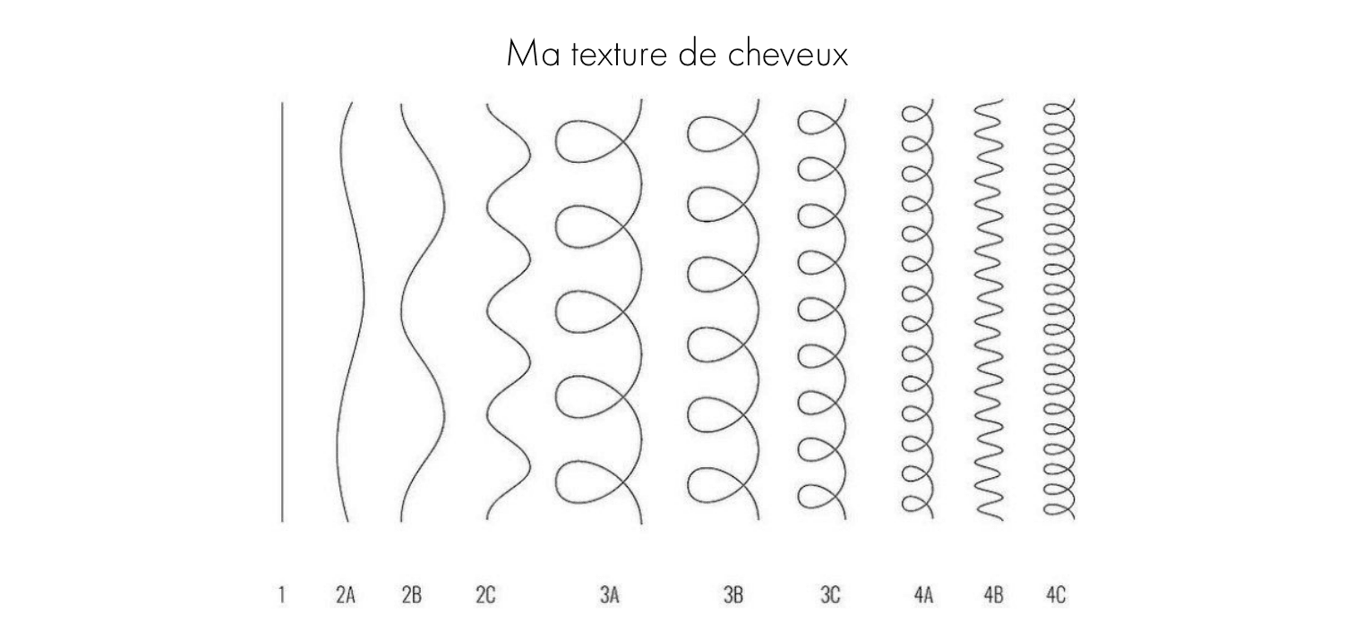 image des différents types de boucles et textures de cheveux, du cheveu raide au cheveu crépu (classification 1 à 4C)